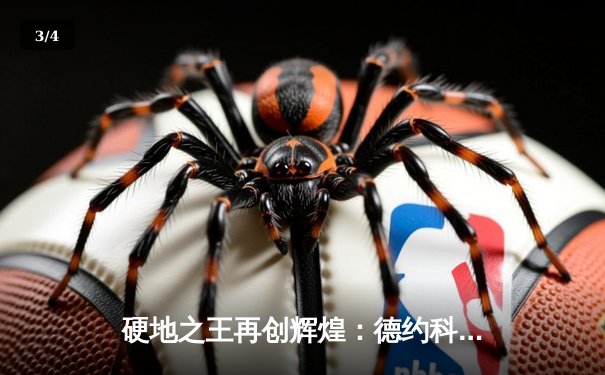 硬地之王再创辉煌：德约科维奇逆转夺冠，澳网十冠王霸业无人能及 - 3